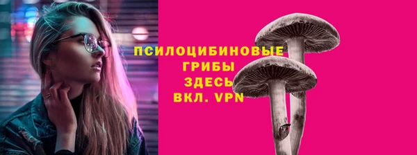 ECSTASY Алзамай