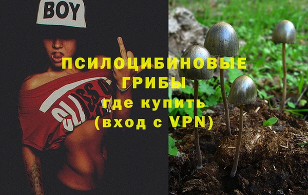 таблы Гвардейск